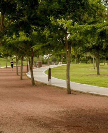 Payne Park jogging path. Photo credit: Ally Beames.