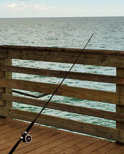 The Venice Pier.  Photo credit: Liz Sandburg