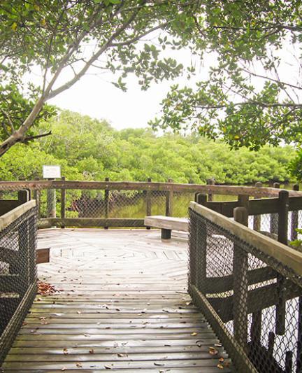 Quickpoint Nature Preserve. Photo Credit: Robin Draper.