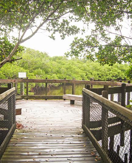 Quickpoint Nature Preserve. Photo Credit: Robin Draper.