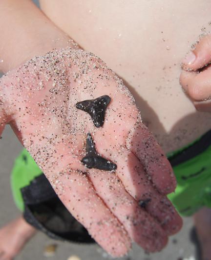 (Photo: Authentic Florida)