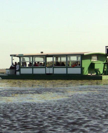 Myakka boat tours. Photo credit: Robin Draper