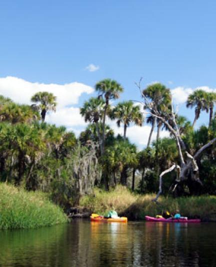 Myakka Kayaking. Photo credit: Robin Draper