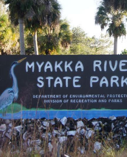 Myakka River State Park. Photo credit: Robin Draper