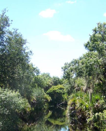 Oscar-Scherer: SouthCreek. Photo credit: Robin Draper