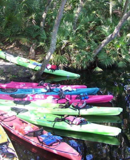 Oscar-Scherer: South Creek Kayaks. Photo credit: Robin Draper