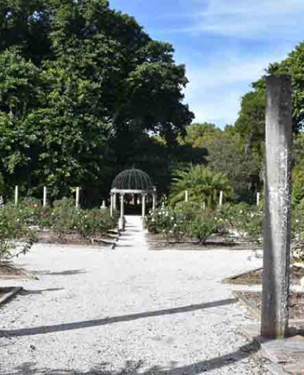 Ringling Grounds. Photo by Eddie Kirsch