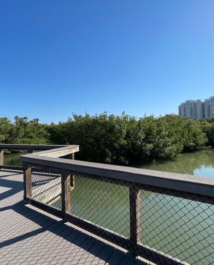 The Bay Park's Mangrove Bayou