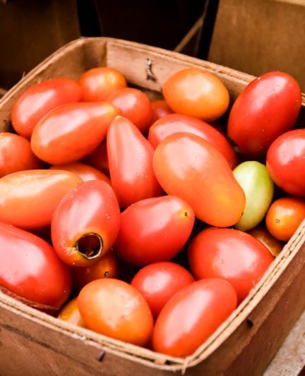 SarasotaFarmersMarket111415_030_rgb_hd.jpg