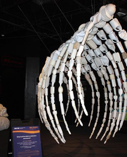 Seadebris at Mote - Photo credit: Liz Sandburg
