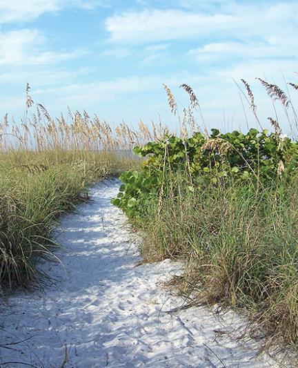 Siesta Beach. Photo credit: Robin Draper.