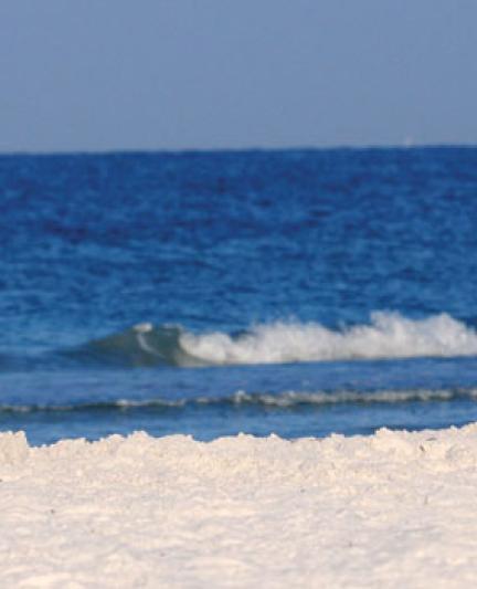 Siesta_Key___Surfboard_on_Beach__MilesArticleOpt.jpg