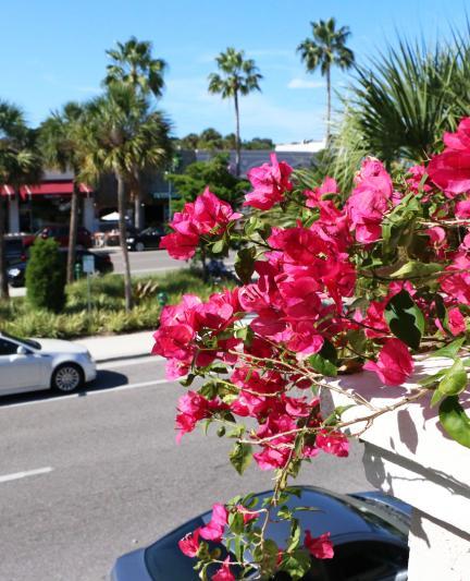 St. Armands Circle, Lido Key