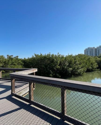 The Bay Park Conservancy