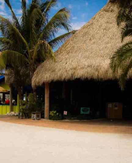 Tiki Hut
