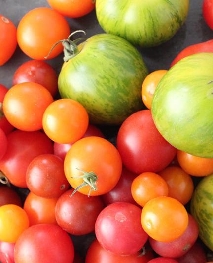 TomatoTartines__01_OPT.jpg