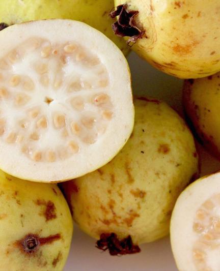 Guavas