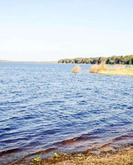 Upper-Myakka-Lake_OPT.jpg