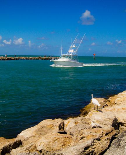 Humphris Park and Venice Jetties