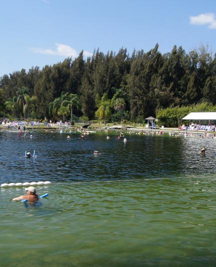 Warm Mineral Springs