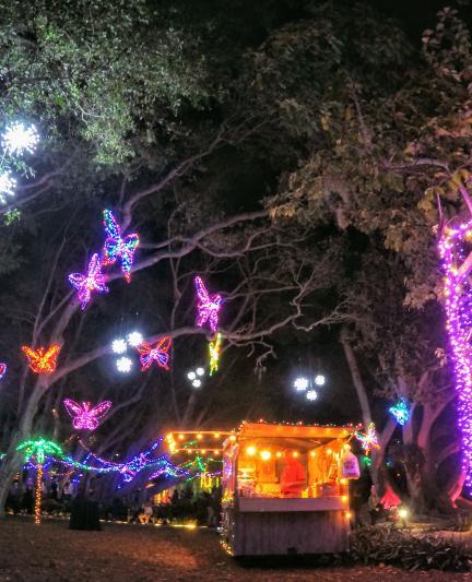 Lights in Bloom at Selby Gardens' downtown campus