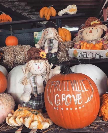 Fruitville Grove Pumpkin Fest