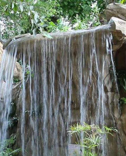 Rainforest Garden at Selby Gardens. Photo Credit: Eddie Kirsch.