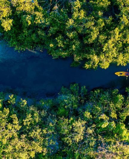 the bay sarasota kayaking