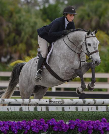 Venice Equestrian Tour 