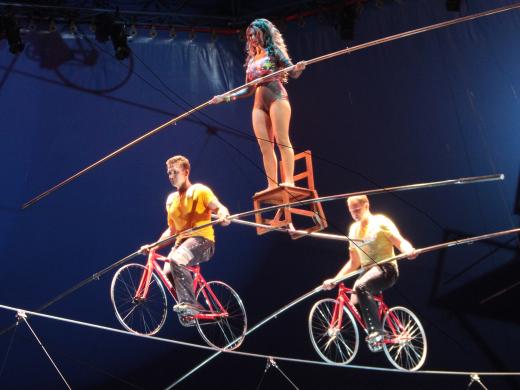 A thrilling high wire act, featuring show co-presenter Nik Wallenda (right), will close ‘A Brave New Wonderland’