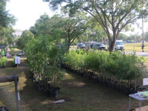 28th Annual People for Trees' Tree Fair