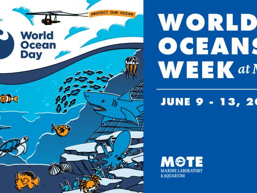 Graphic with various sharks and fishing swimming in the ocean with text that says World Oceans Week 2025 and the dates June 9 — June 13