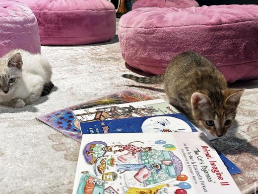 Children's Book Reading with Tim Fortier and Cats!