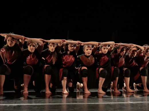 SCD Company Members