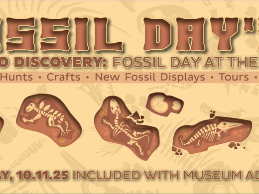 Celebrate National Fossil Day at The Bishop!