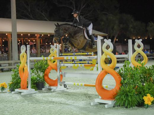 Horse jumping big jump in front of big crowd