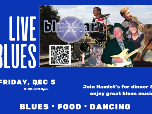 Bluestar Band Live Music in Sarasota 
