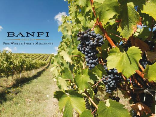Banfi Wine Dinner