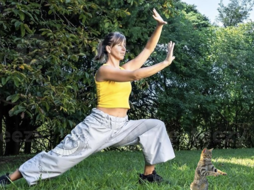 Cat Qi Gong 