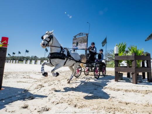 Combined Driving at TerraNova