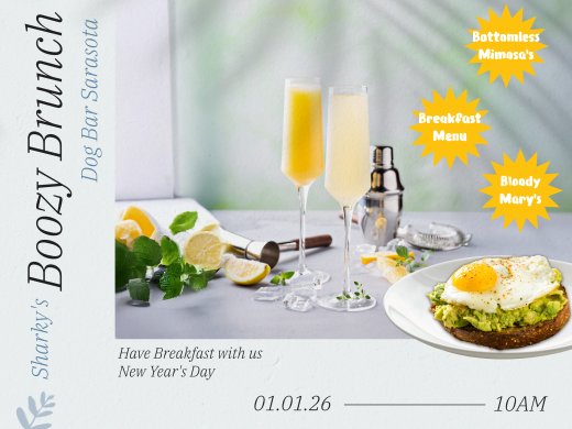 delicious mimosa's and avacado toast on a brunch table near the dog park.