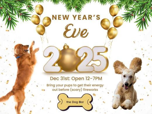 NYE flyer with dogs and balloons