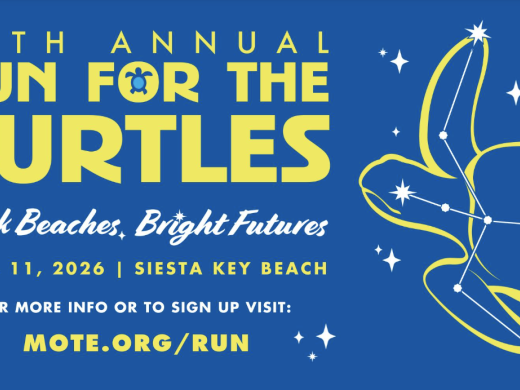 Banner for Mote's 40 Annual Run for the Turtles. 