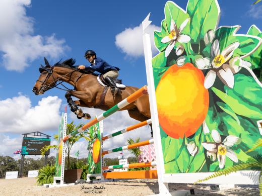 Show Jumping at TerraNova