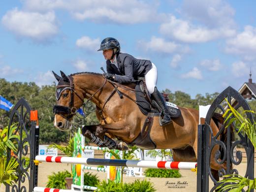 Show Jumping at TerraNova