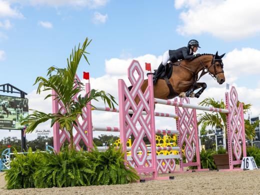 Show Jumping at TerraNova