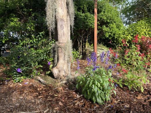 The Sarasota  Master Gardener Spring Plant Sale at Twin Lakes Park