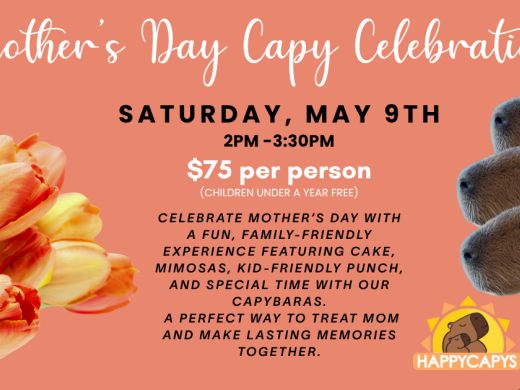 CAPYBARA EXPERIENCE FOR MOTHER'S DAY