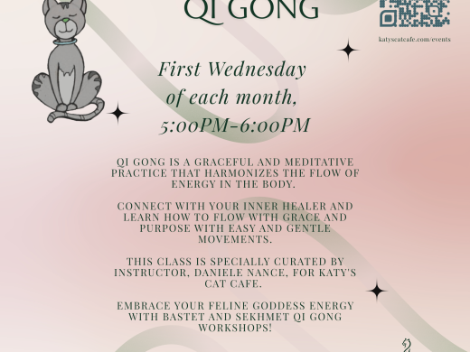 Cat Qi Gong 