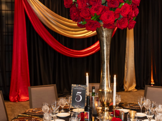 Sarasota Opera Gala